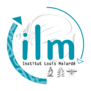 ILM